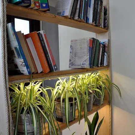 Apartament Funky Nest - A Cozy In Zipari *